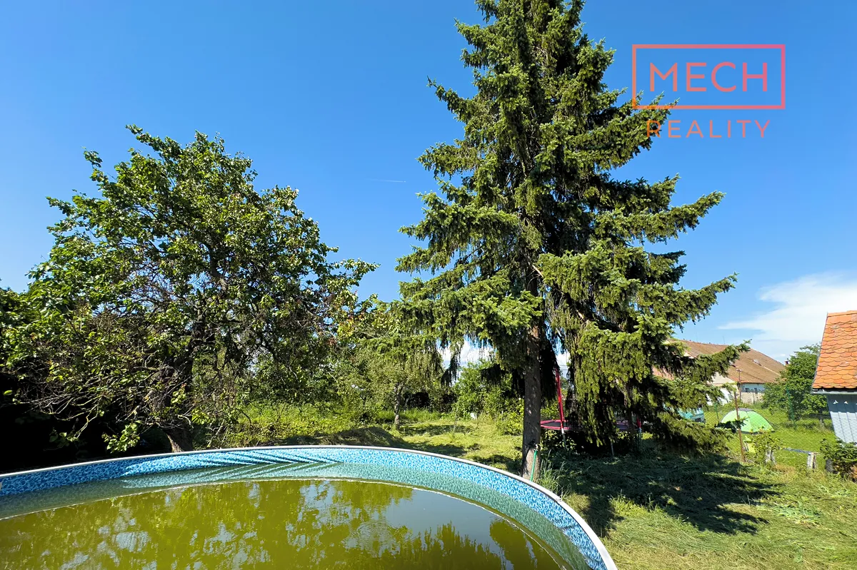 Fotka 11 z 16